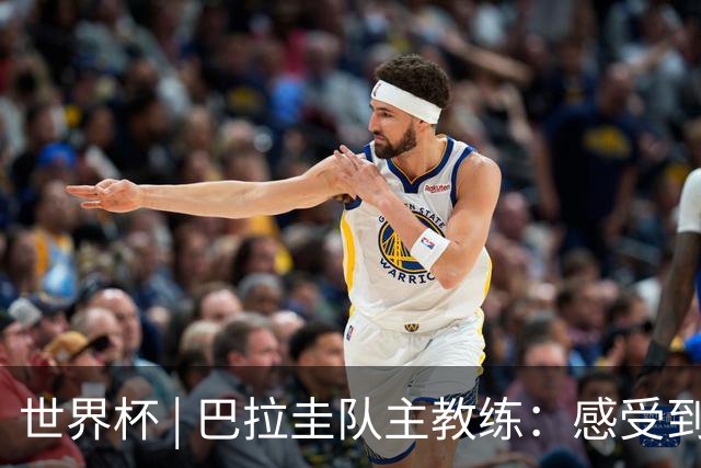 世界杯 | 巴拉圭队主教练：感受到比赛的极致压力