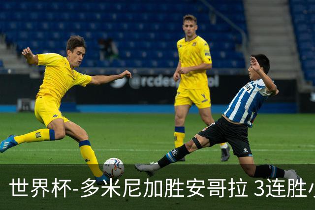 世界杯-多米尼加胜安哥拉 3连胜小组第一晋级