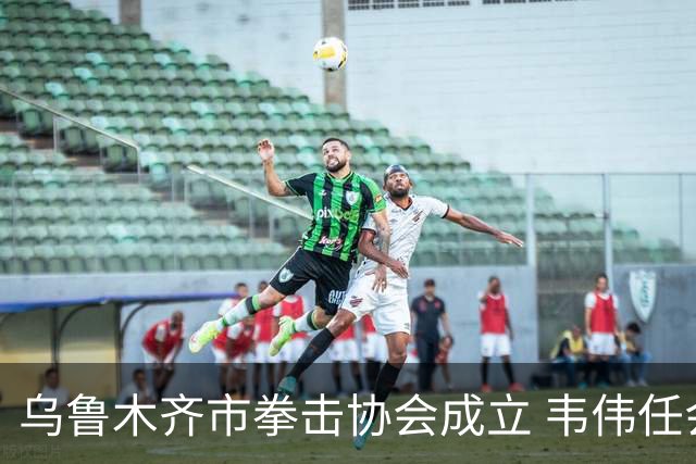 乌鲁木齐市拳击协会成立 韦伟任会长