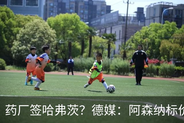 药厂签哈弗茨？德媒：阿森纳标价6000万欧起，高薪使得转会难成行