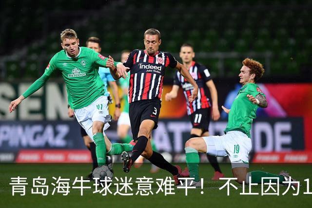 青岛海牛球迷意难平！不止因为1-5河南队，更多在于以下五点！